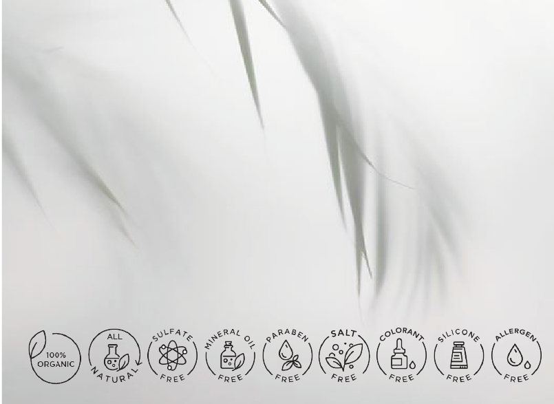 CHAMPÚ NATURAL ANTI FRIZZ PARA CABELLO ENCRESPADO LÍNEA BORGANIK DE PROFESIONAL COSMETICS