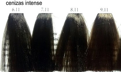 TINTE / COLORACIÓN PARA EL PELO COLOR CREME EXITENN GAMA: CENIZAS INTENSE